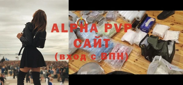 сатива Яранск