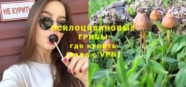 стаф Абинск