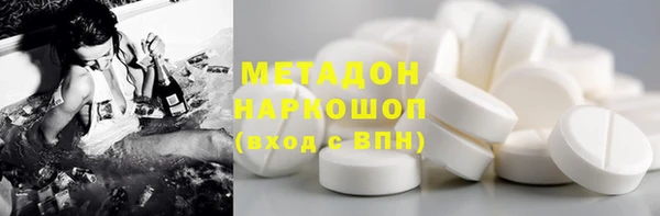 индика Алексин