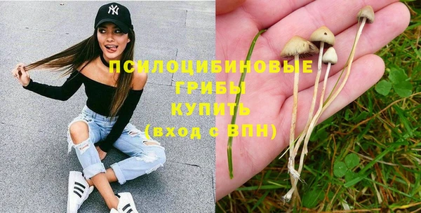 стаф Абинск