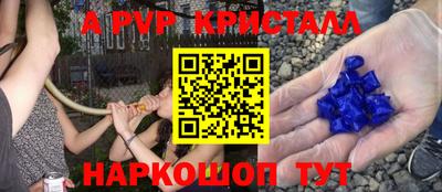 a pvp Гагарин
