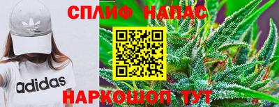 a pvp Гагарин