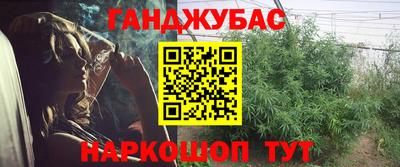 a pvp Гагарин