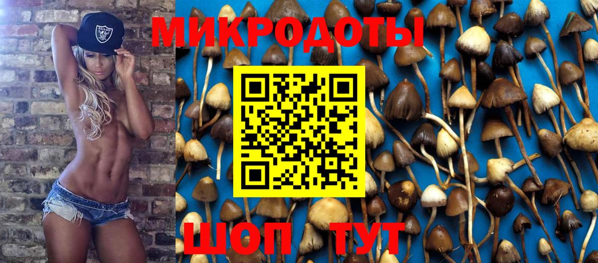 Ишимбай  Галлюциногенные грибы прущие грибы  Вход с VPN  Галлюциногенные грибы MAGIC MUSHROOMS 