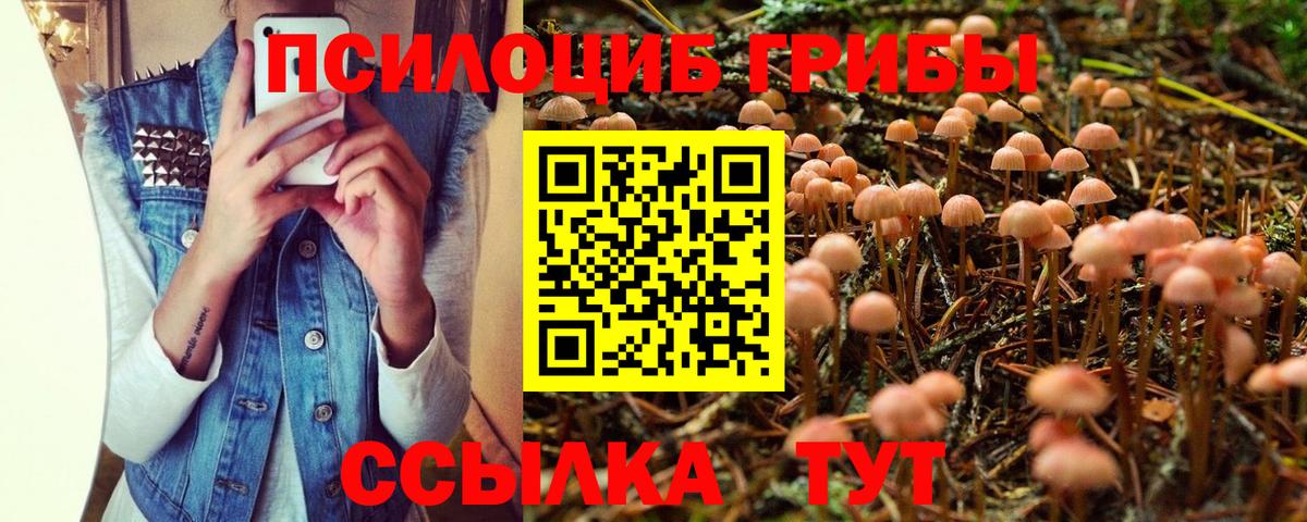 Галлюциногенные грибы ЛСД Ишимбай